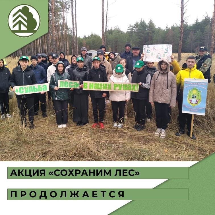 Бобровский район – участник Всероссийской акции «Сохраним лес».