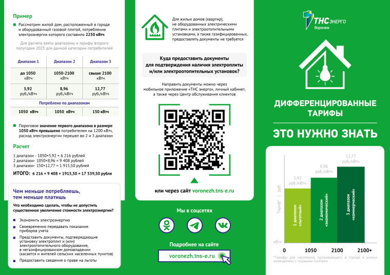 ТНС Энерго Воронеж.